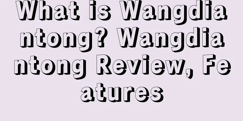 What is Wangdiantong? Wangdiantong Review, Features