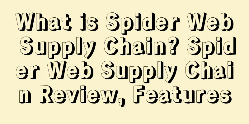 What is Spider Web Supply Chain? Spider Web Supply Chain Review, Features