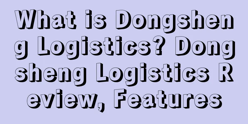 What is Dongsheng Logistics? Dongsheng Logistics Review, Features