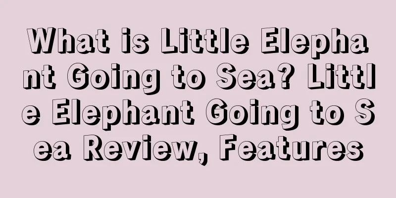 What is Little Elephant Going to Sea? Little Elephant Going to Sea Review, Features