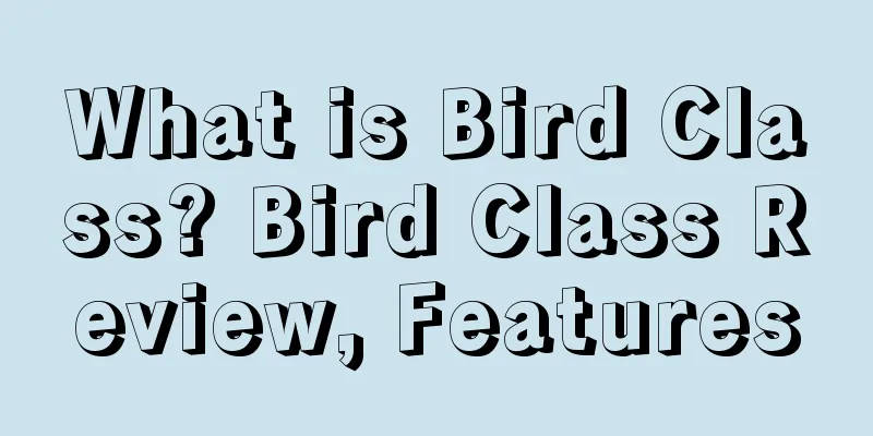 What is Bird Class? Bird Class Review, Features