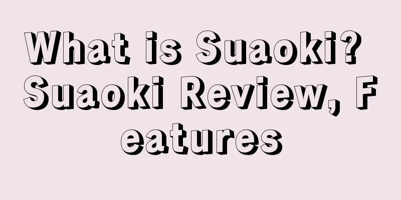 What is Suaoki? Suaoki Review, Features