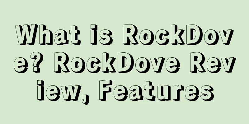 What is RockDove? RockDove Review, Features
