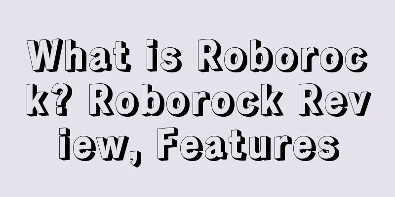 What is Roborock? Roborock Review, Features