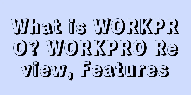 What is WORKPRO? WORKPRO Review, Features