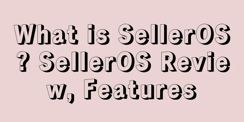 What is SellerOS? SellerOS Review, Features