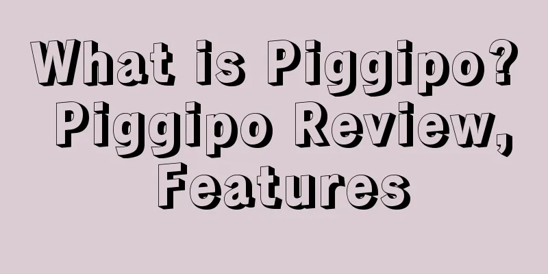 What is Piggipo? Piggipo Review, Features