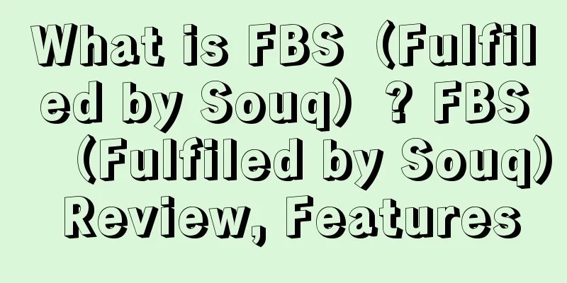 What is FBS（Fulfiled by Souq）? FBS（Fulfiled by Souq） Review, Features