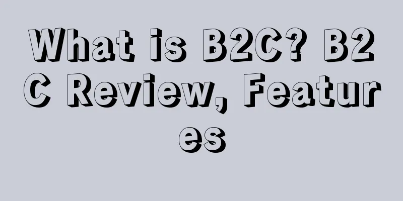 What is B2C? B2C Review, Features