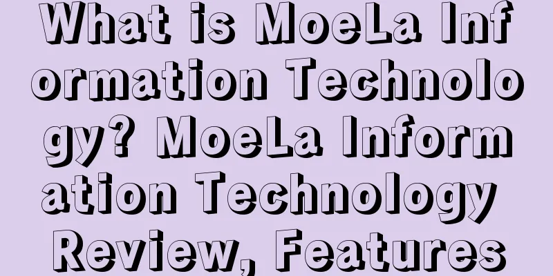 What is MoeLa Information Technology? MoeLa Information Technology Review, Features
