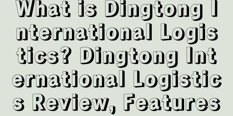 What is Dingtong International Logistics? Dingtong International Logistics Review, Features