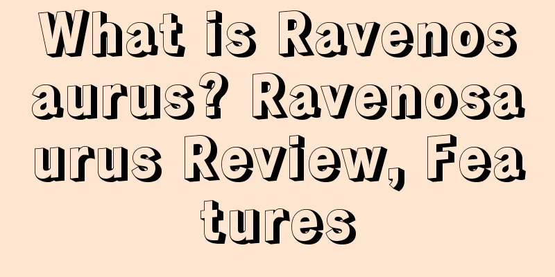 What is Ravenosaurus? Ravenosaurus Review, Features