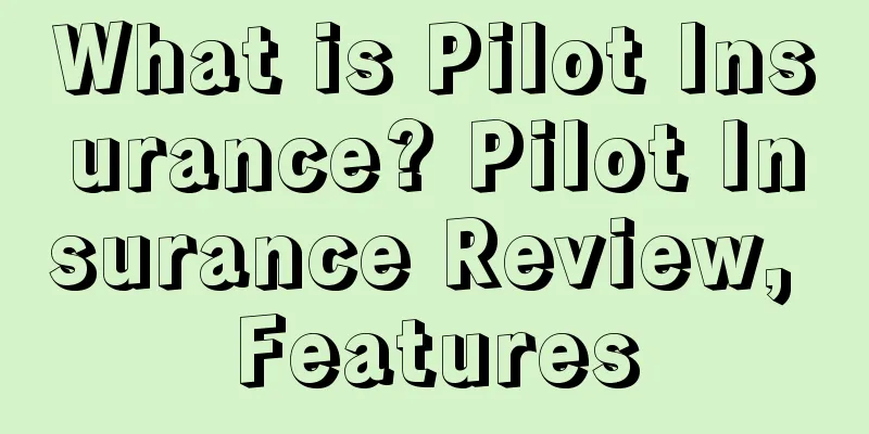 What is Pilot Insurance? Pilot Insurance Review, Features
