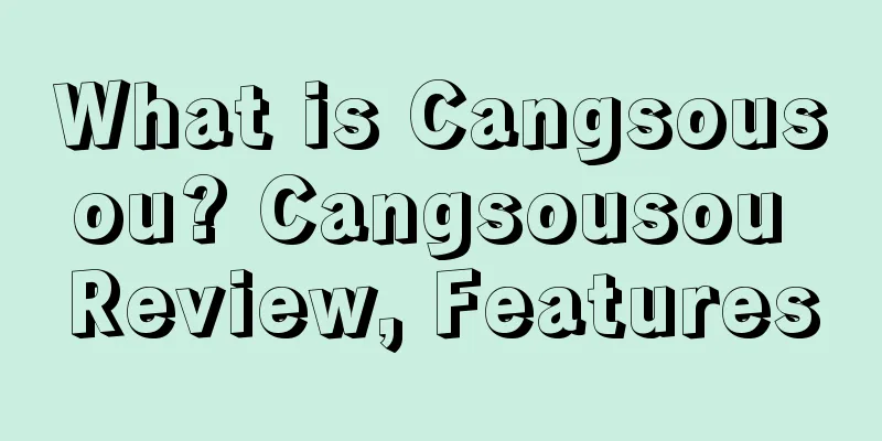 What is Cangsousou? Cangsousou Review, Features