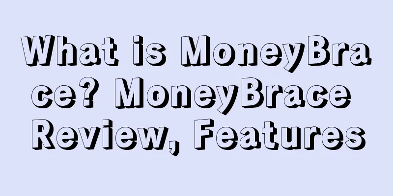 What is MoneyBrace? MoneyBrace Review, Features
