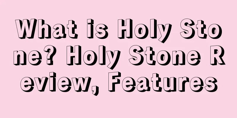 What is Holy Stone? Holy Stone Review, Features