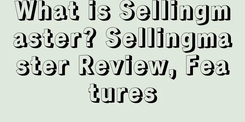 What is Sellingmaster? Sellingmaster Review, Features