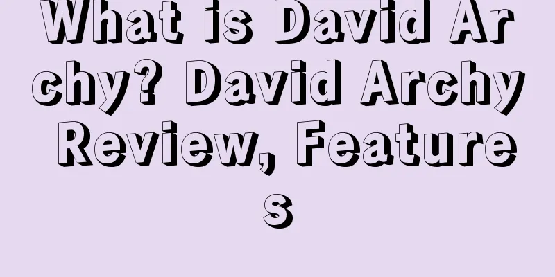 What is David Archy? David Archy Review, Features