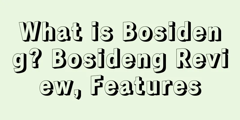 What is Bosideng? Bosideng Review, Features