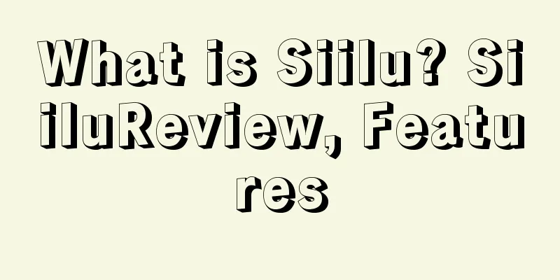 What is Siilu? SiiluReview, Features