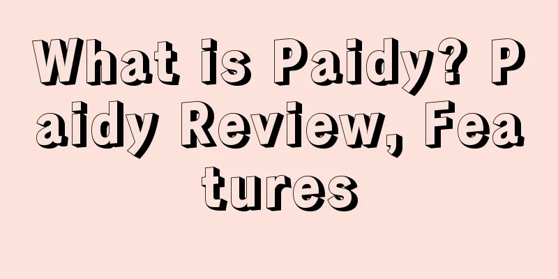What is Paidy? Paidy Review, Features