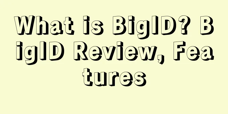 What is BigID? BigID Review, Features