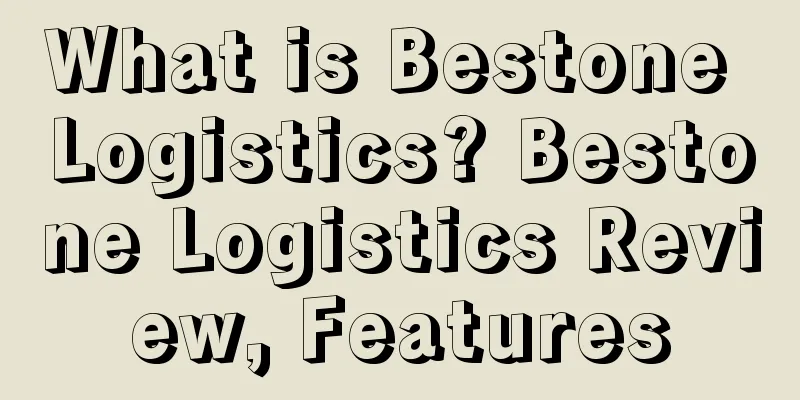 What is Bestone Logistics? Bestone Logistics Review, Features