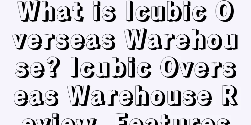 What is Icubic Overseas Warehouse? Icubic Overseas Warehouse Review, Features