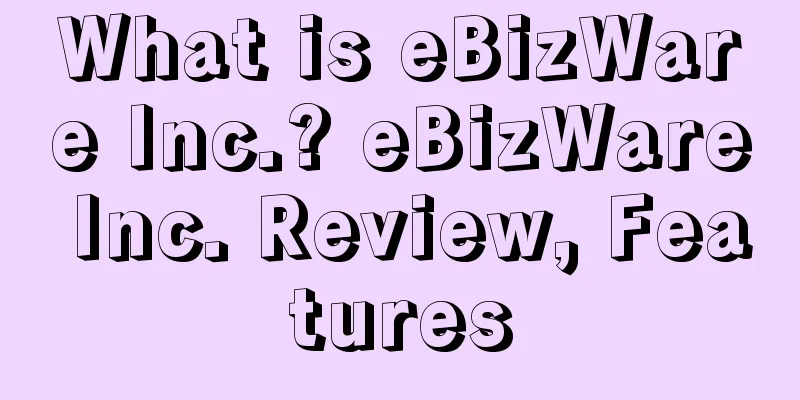 What is eBizWare Inc.? eBizWare Inc. Review, Features