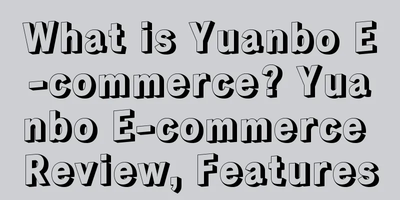 What is Yuanbo E-commerce? Yuanbo E-commerce Review, Features