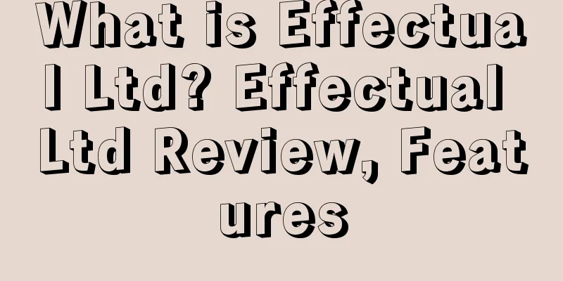 What is Effectual Ltd? Effectual Ltd Review, Features