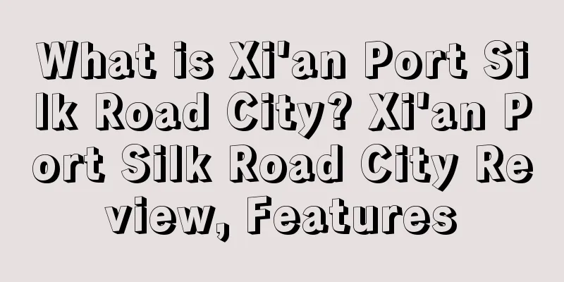 What is Xi'an Port Silk Road City? Xi'an Port Silk Road City Review, Features