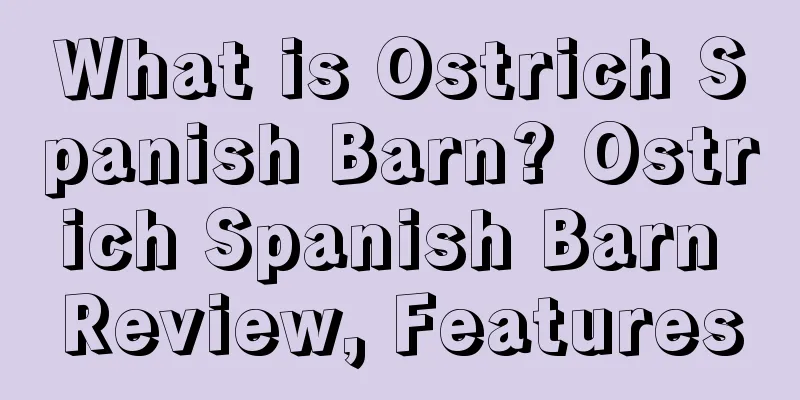What is Ostrich Spanish Barn? Ostrich Spanish Barn Review, Features