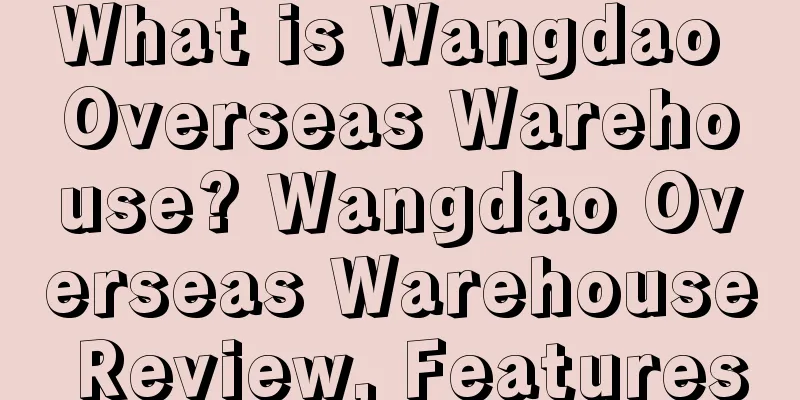 What is Wangdao Overseas Warehouse? Wangdao Overseas Warehouse Review, Features