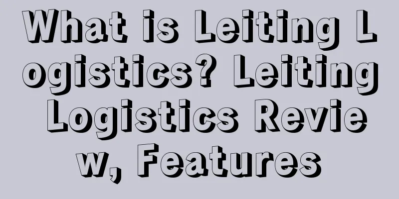 What is Leiting Logistics? Leiting Logistics Review, Features