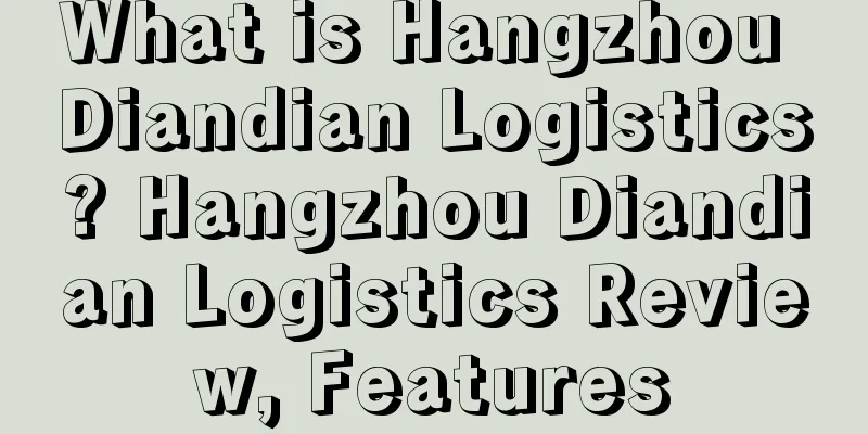 What is Hangzhou Diandian Logistics? Hangzhou Diandian Logistics Review, Features