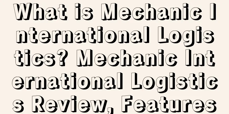 What is Mechanic International Logistics? Mechanic International Logistics Review, Features