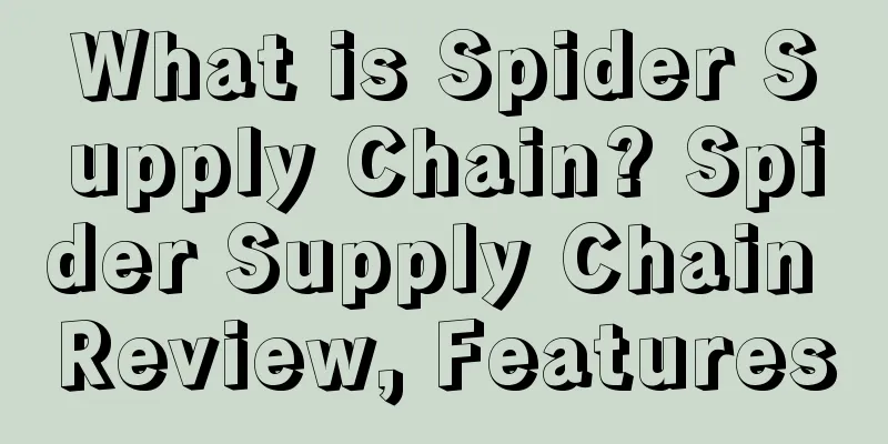 What is Spider Supply Chain? Spider Supply Chain Review, Features
