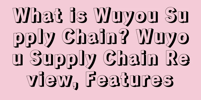 What is Wuyou Supply Chain? Wuyou Supply Chain Review, Features