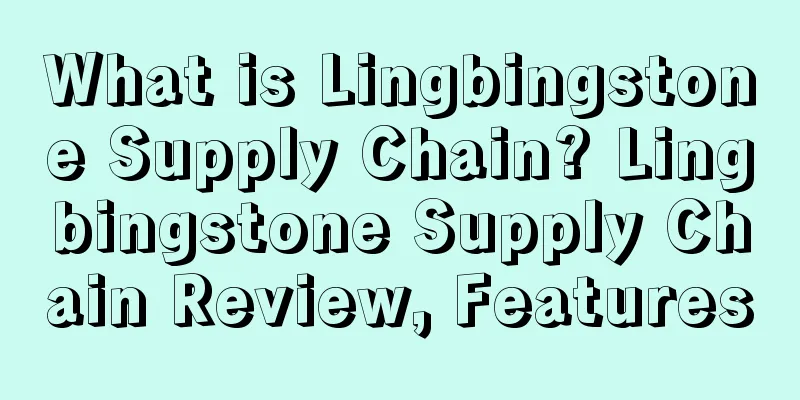 What is Lingbingstone Supply Chain? Lingbingstone Supply Chain Review, Features