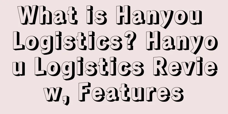 What is Hanyou Logistics? Hanyou Logistics Review, Features