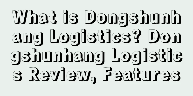 What is Dongshunhang Logistics? Dongshunhang Logistics Review, Features