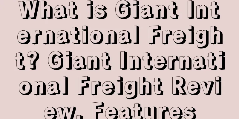 What is Giant International Freight? Giant International Freight Review, Features