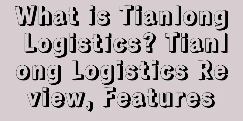 What is Tianlong Logistics? Tianlong Logistics Review, Features