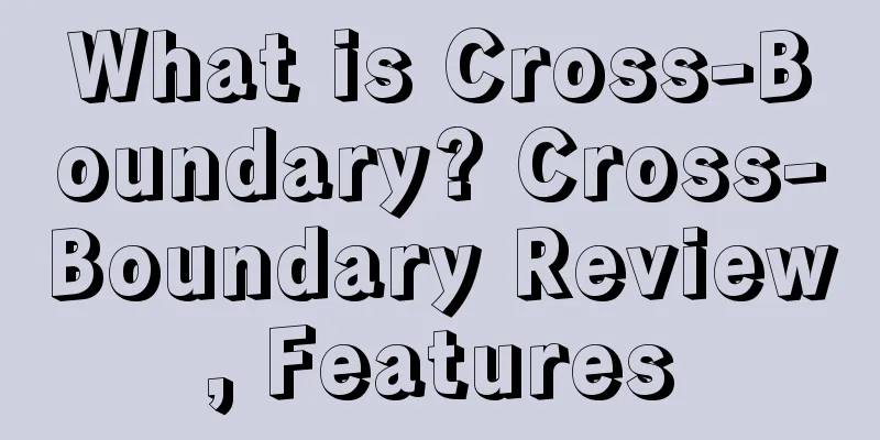 What is Cross-Boundary? Cross-Boundary Review, Features