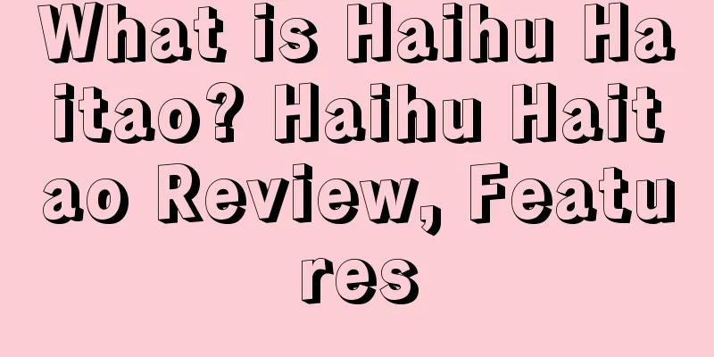What is Haihu Haitao? Haihu Haitao Review, Features