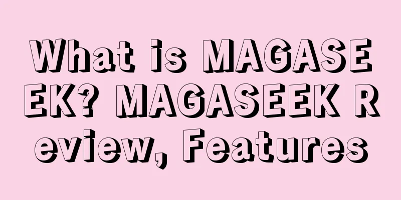 What is MAGASEEK? MAGASEEK Review, Features