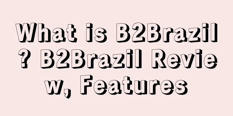 What is B2Brazil? B2Brazil Review, Features