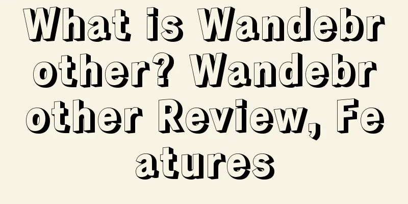 What is Wandebrother? Wandebrother Review, Features