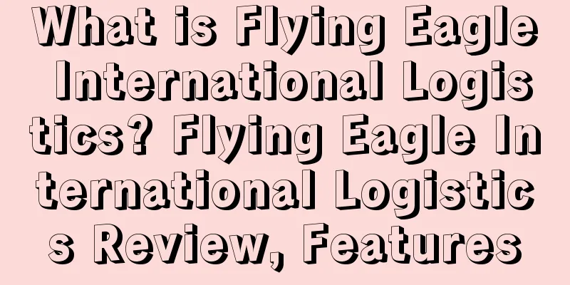 What is Flying Eagle International Logistics? Flying Eagle International Logistics Review, Features